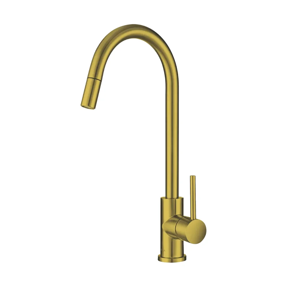 Hafele Mixer Tap Gold Brushed Stainless Steel Pullout Sprayer